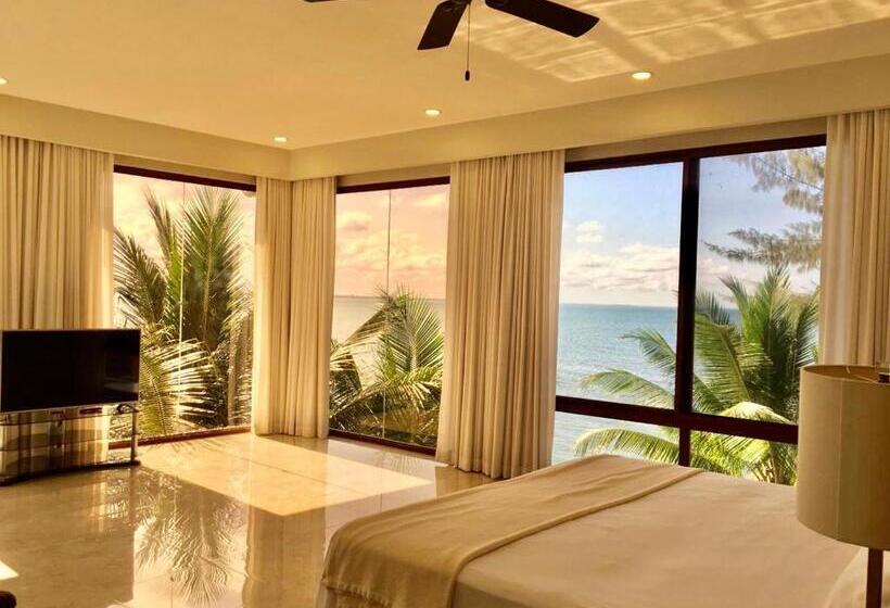 سوئیت پرزیدنت, Paraiso Rainforest And Beach