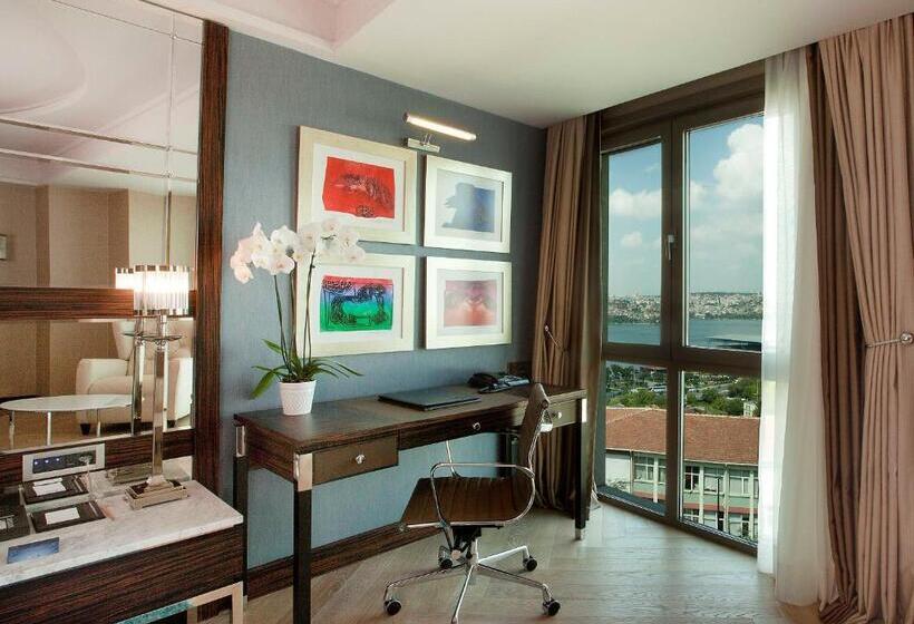 エグゼクティブ ルーム、眺望あり, Radisson Blu Hotel Istanbul Pera