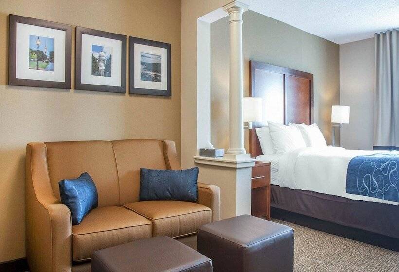 Люкс Адаптированный для Инвалидов, Comfort Suites West Warwick  Providence