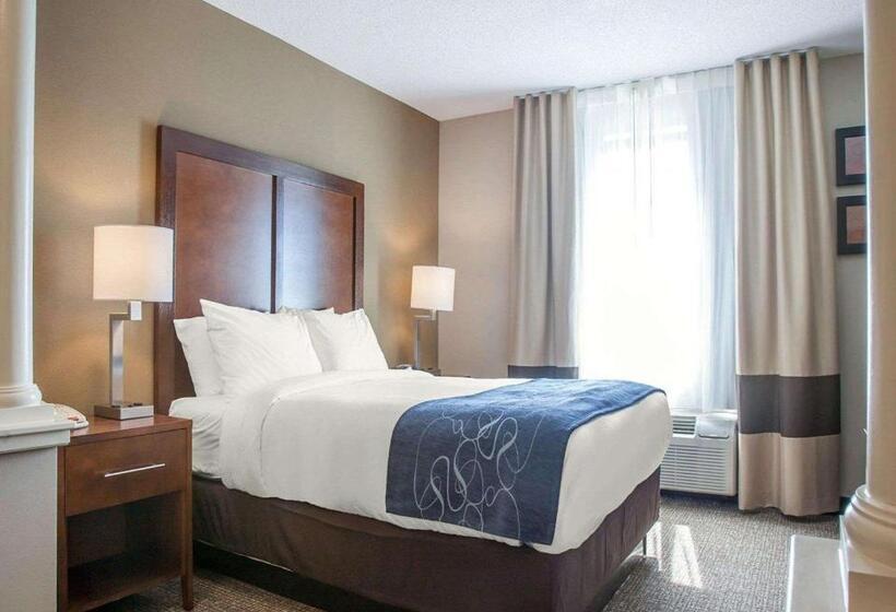 Люкс Адаптированный для Инвалидов, Comfort Suites West Warwick  Providence