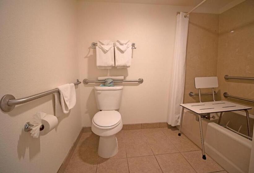 חדר סטנדרט מותאם לאדם עם מוגבלויות, La Serena Inn