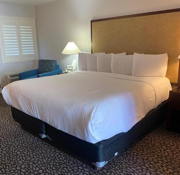 스탠다드 룸 킹사이즈 침대, Morro Shores Inn And Suites