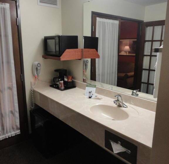 اتاق استاندارد با تخت بزرگ, Americinn By Wyndham Ottumwa