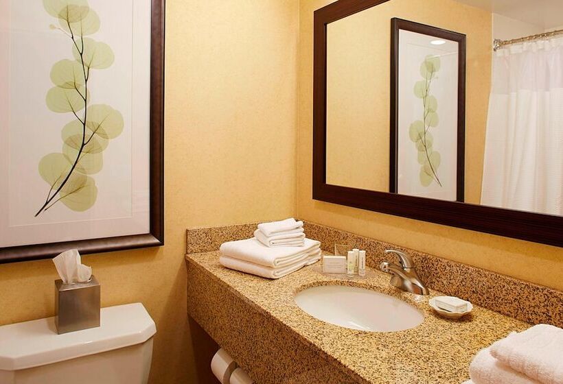 Номер Стандарт 2 Двуспальные Кровати, Courtyard By Marriott Ithaca Airport/university