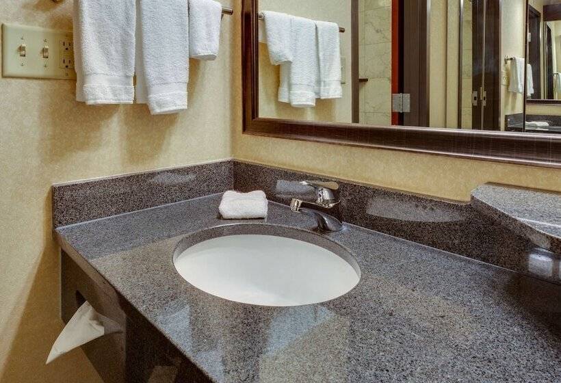 Camera Deluxe, Drury Inn & Suites Memphis Southaven