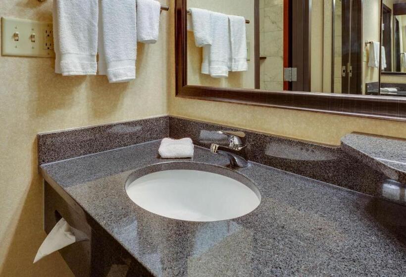 Camera Deluxe, Drury Inn & Suites Memphis Southaven