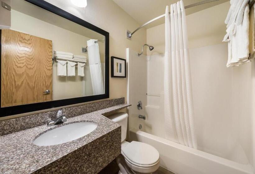 Стандартный Номер Кровать Кинг, Quality Inn & Suites Near Nas Fallon