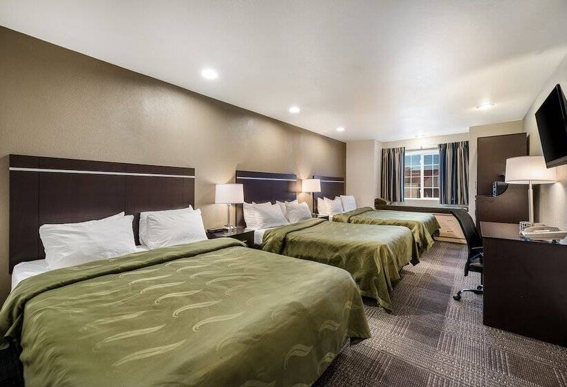 Номер Стандарт, Quality Inn & Suites Near Nas Fallon