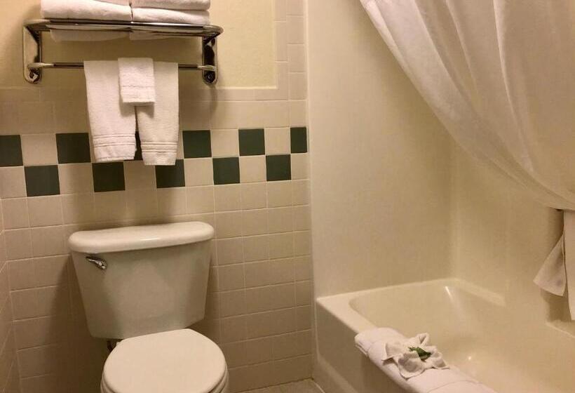 Номер Deluxe Кровать Кинг, Americinn By Wyndham Rexburg Byui