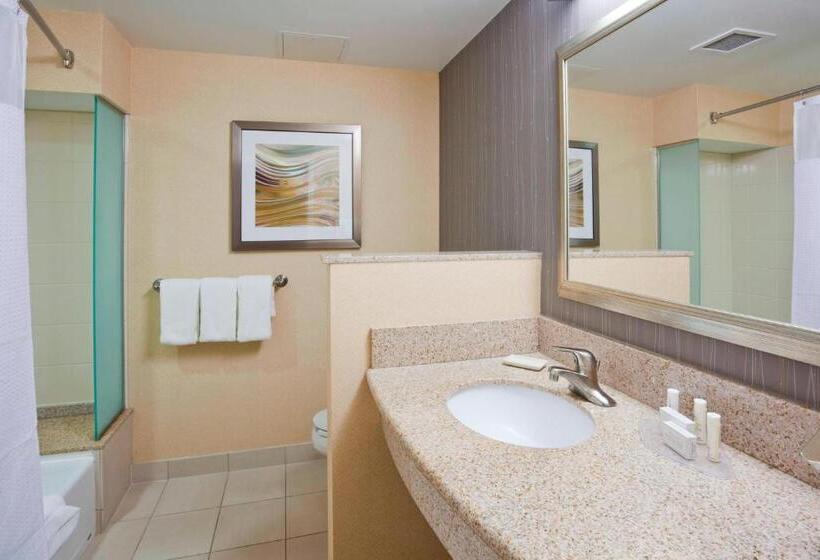 Номер Стандарт Кровать Кинг Адаптированный для Инвалидов, Courtyard Rochester Mayo Clinic Area/saint Marys