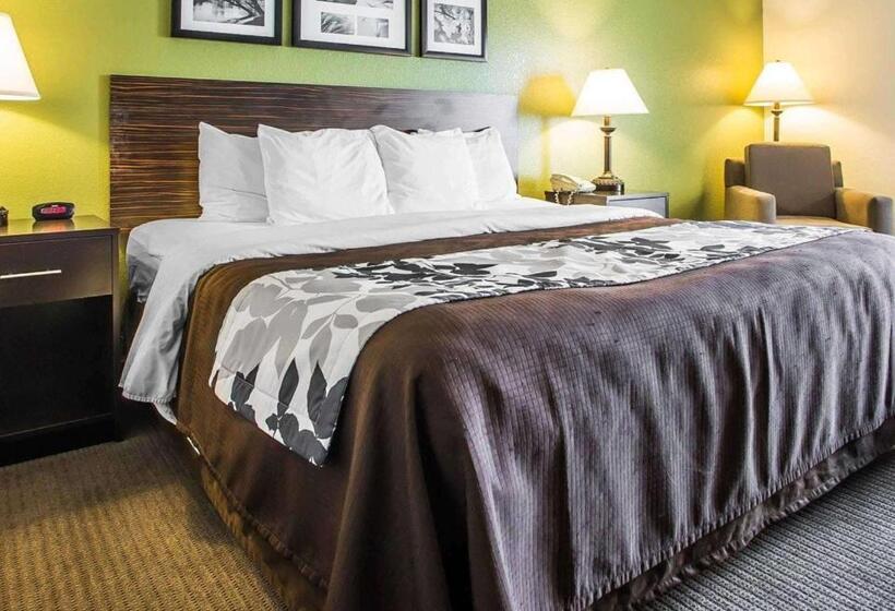스탠다드 룸 킹사이즈 침대, Sleep Inn & Suites