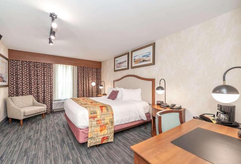 Стандартный Номер Кровать Кинг, Bellissimo Hotel, Trademark By Wyndham Near Foxwoods Casino