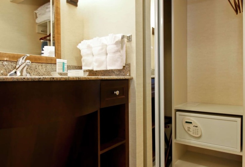 豪华工作室, Homewood Suites By Hilton Toronto Airport Corporate Centre