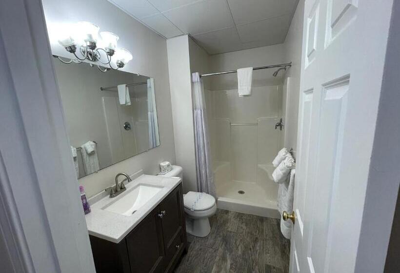 Номер Стандарт 2 Двуспальные Кровати, Colonial Motel