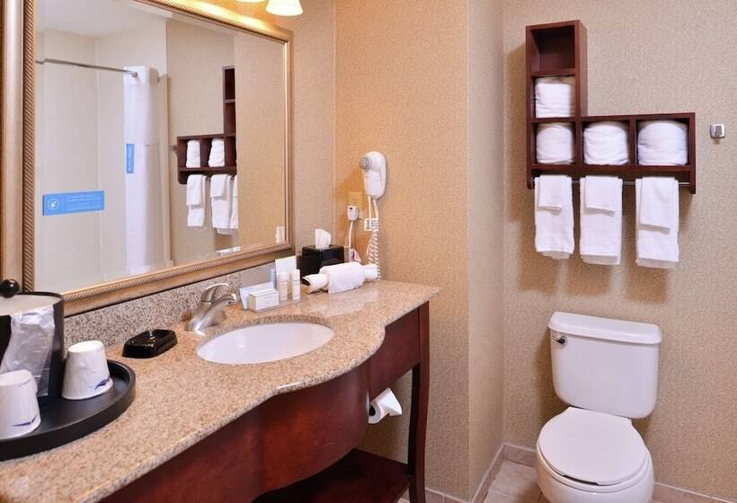 Номер Стандарт, Hampton Inn Jackson