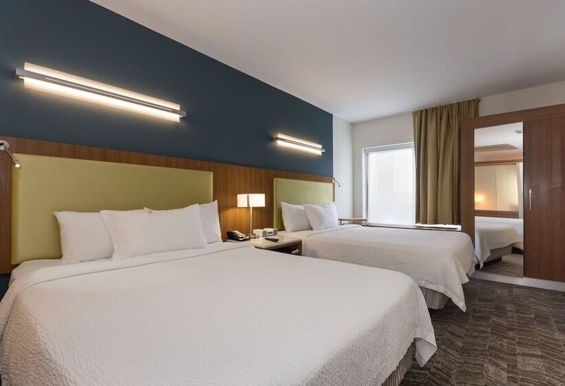 Студия Стандарт, Springhill Suites By Marriott Charlotte Ballantyne