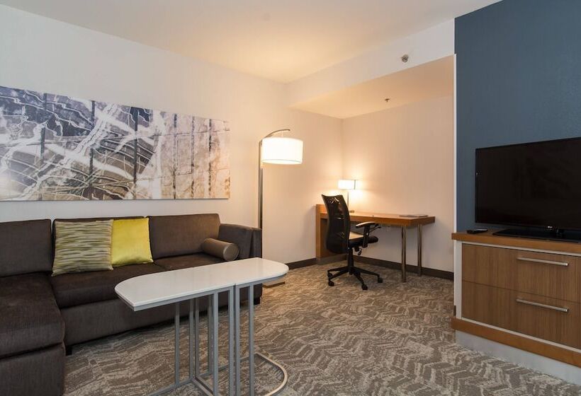 Студия Стандарт, Springhill Suites By Marriott Charlotte Ballantyne