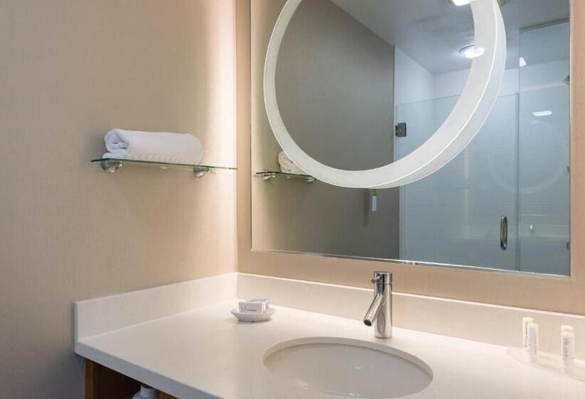 Студия Стандарт, Springhill Suites By Marriott Charlotte Ballantyne