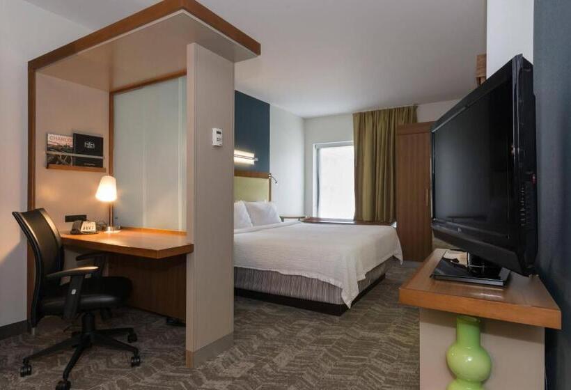 Студио Стандарт Кровать Кинг, Springhill Suites By Marriott Charlotte Ballantyne