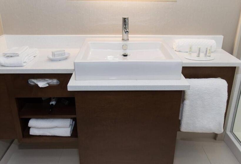 Люкс Кровать Кинг, Springhill Suites By Marriott Charlotte Ballantyne
