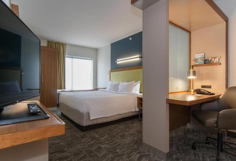 带大床的标准工作室, Springhill Suites Columbia Downtown The Vista