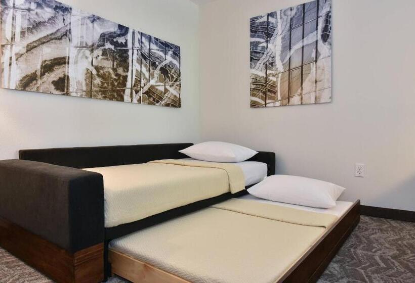标准工作室, Springhill Suites Columbia Downtown The Vista