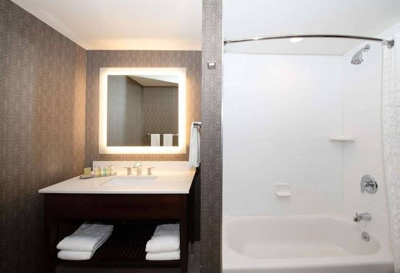 Номер Стандарт Кровать Кинг Адаптированный для Инвалидов, Doubletree By Hilton Hotel & Suites Charleston Airport