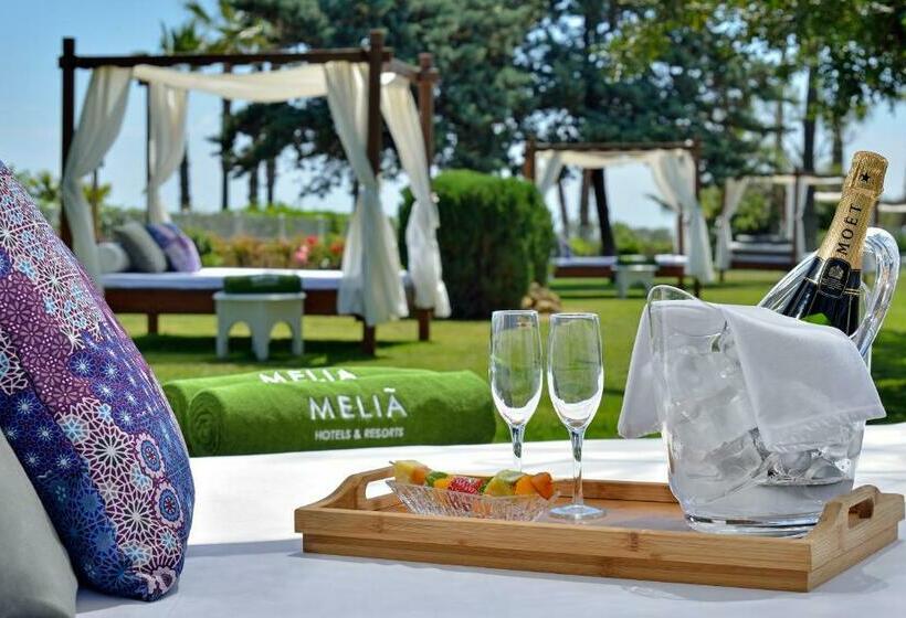 初级行政套房, Meliá Isla Canela