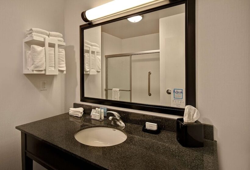 Номер Стандарт Адаптированный для Инвалидов, Hampton Inn & Suites Columbia South Fort Meade Area