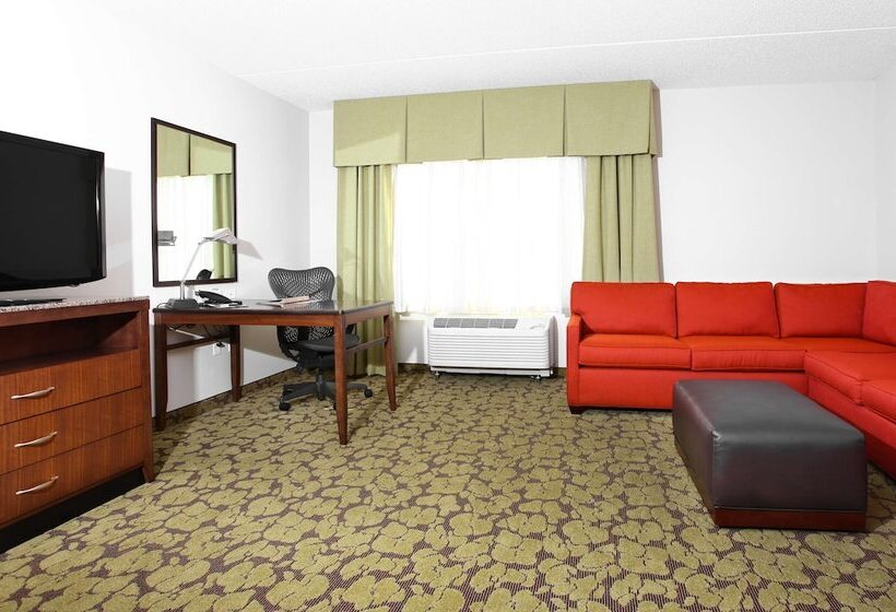 Люкс, Hilton Garden Inn Olathe