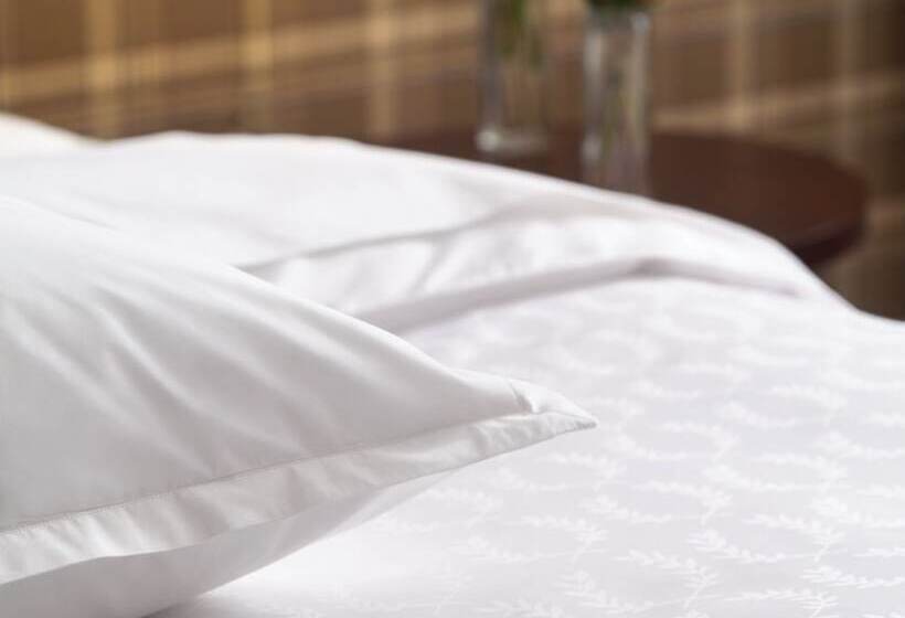 Номер Клуб, Sheraton Hefei Xinzhan