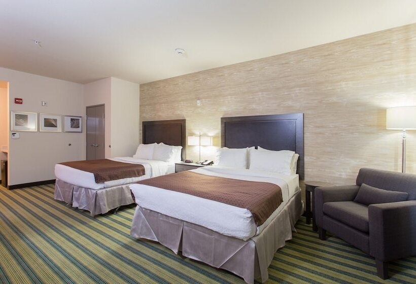 身障者適用スタンダードルーム, Holiday Inn Texarkana Arkansas Convention Center, An Ihg