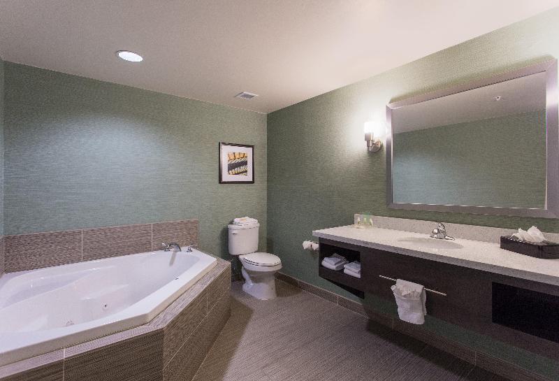 Президентский Люкс, Holiday Inn Texarkana Arkansas Convention Center, An Ihg