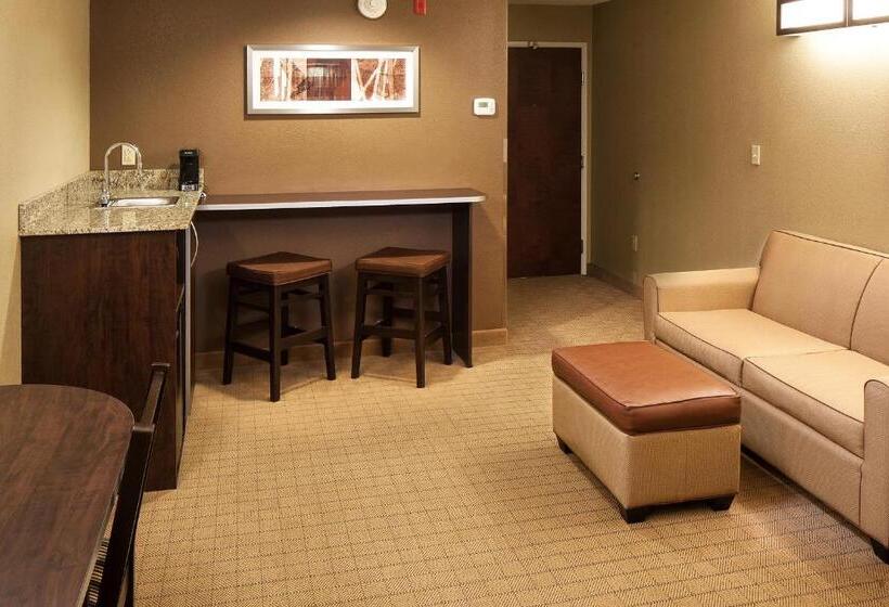 Люкс Deluxe Кровать Кинг, Microtel Inn & Suites By Wyndham St Clairsville   Wheeling