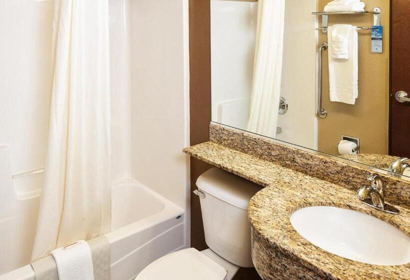 Номер Стандарт Адаптированный для Инвалидов, Microtel Inn & Suites By Wyndham St Clairsville   Wheeling