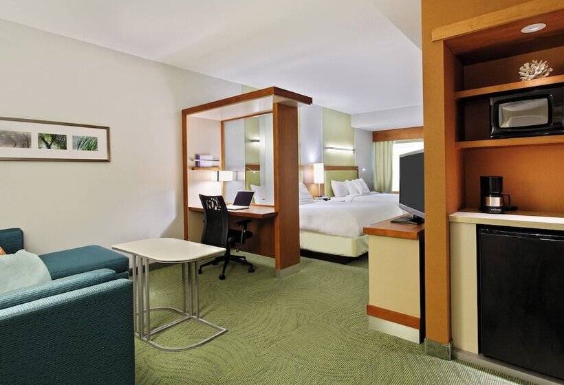 חדר סטודיו סטנדרד, Springhill Suites By Marriott Pensacola