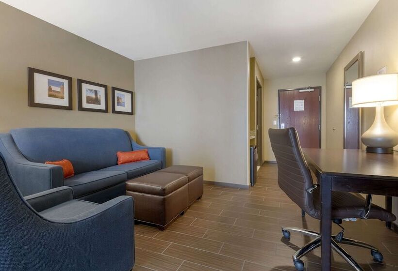 Люкс, Comfort Suites And Conference Center