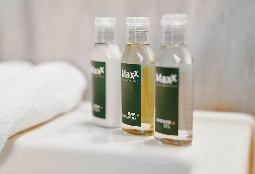 小型套房, Maxx By Steigenberger Vienna