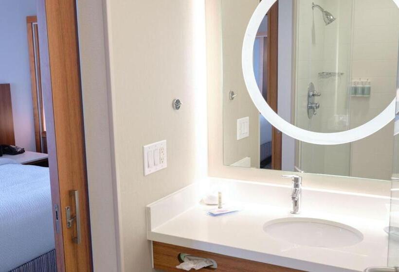 Студио Стандарт Кровать Кинг, Springhill Suites By Marriott Dallas Richardson/plano