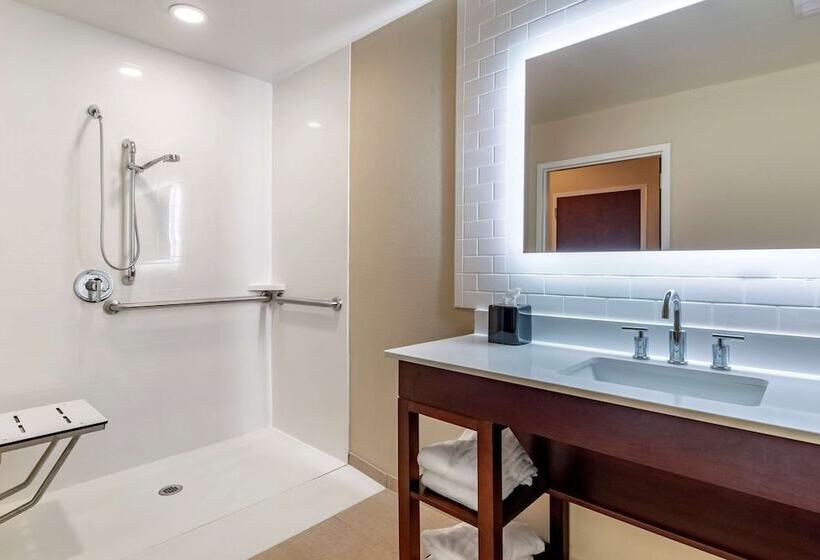 Люкс Адаптированный для Инвалидов, Comfort Suites