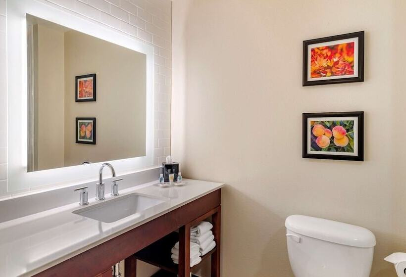 Люкс, Comfort Suites