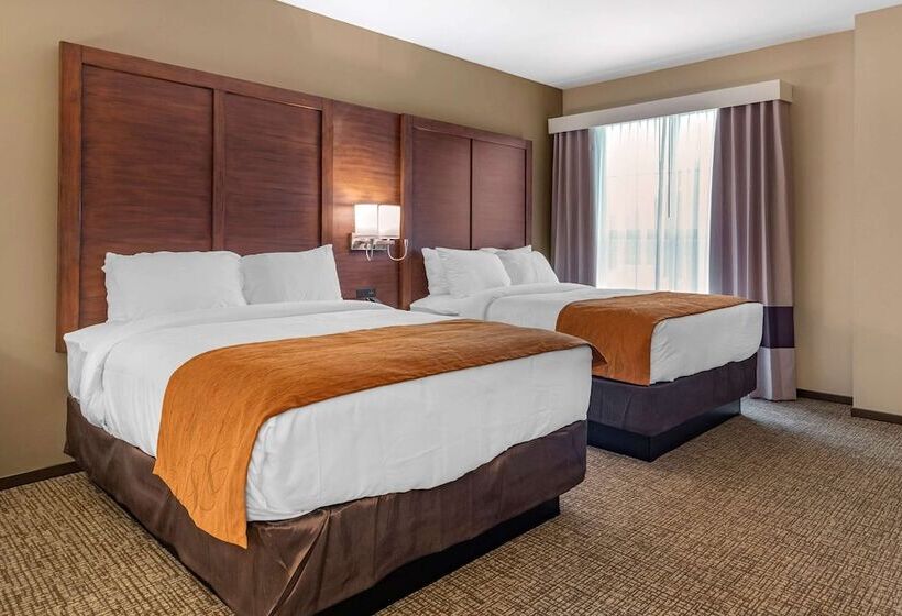 Люкс, Comfort Suites