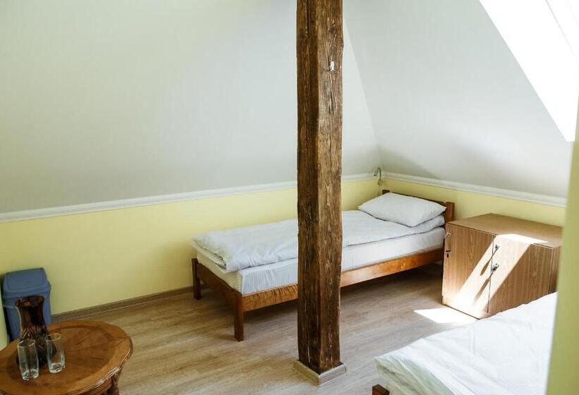 اتاق استاندارد با سرویس بهداشتی مشترک, Sweet Home Hostel