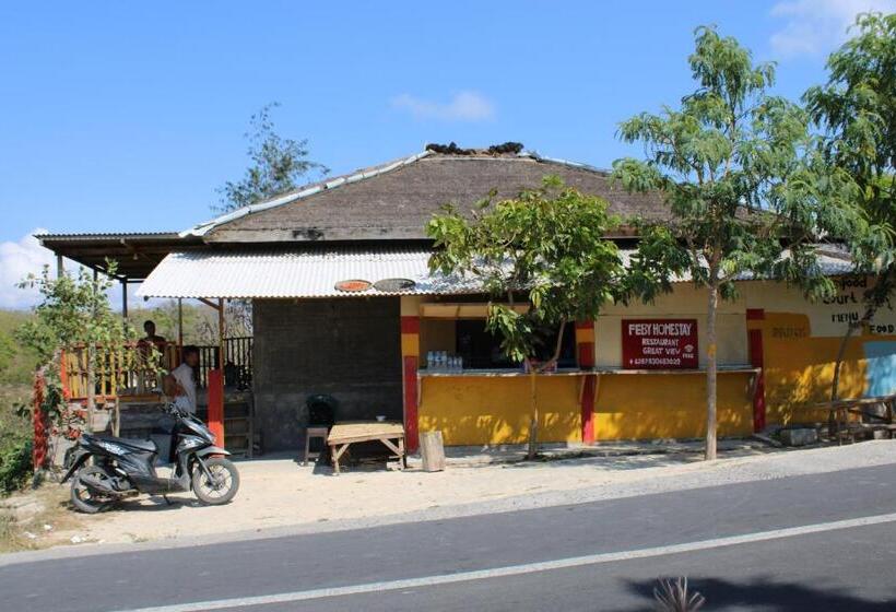 Номер Стандарт Боковой Вид на Море, Feby S Homestay