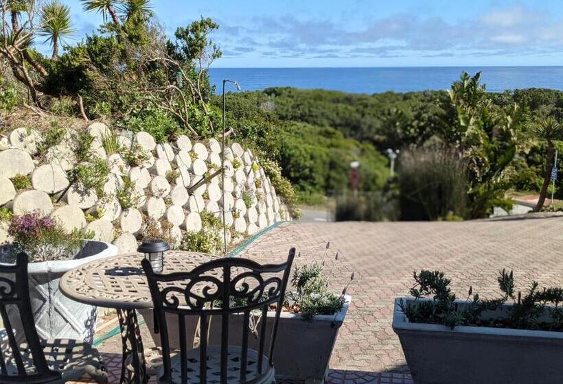 豪华海景房, Villa Cape Garden Route