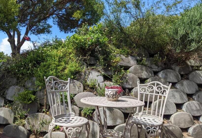 带大床的标准间, Villa Cape Garden Route