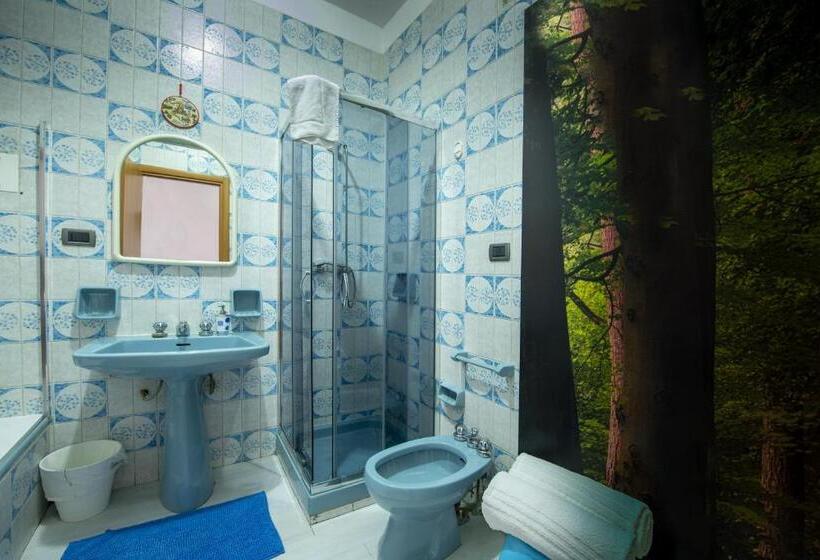 이코노미 룸, Doctor House Standard, Suites & Luxury Rooms