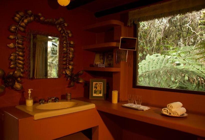 Люкс Deluxe Кровать Кинг, Posada Del Páramo   Rnsc Bosque De Niebla