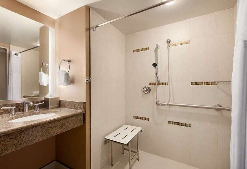 身障者適用キングサイズベッドルーム, Hilton Istanbul Bomonti Hotel & Conference Center