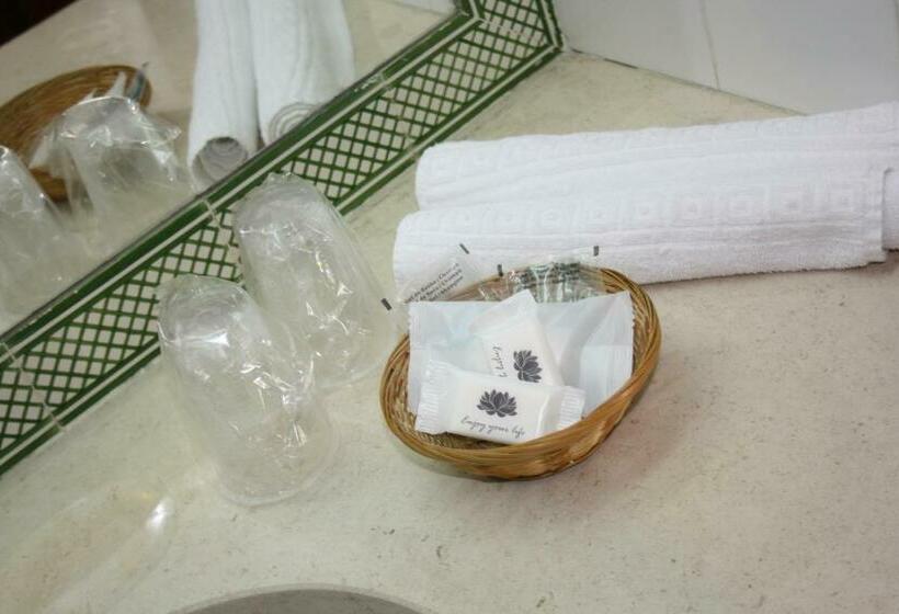 Habitación Estándar Individual, Flag Hotel Santarém